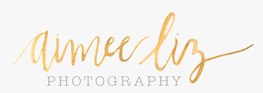 Central Massachusetts Newborn & Portrait Photographer - Calligraphy, HD Png Download