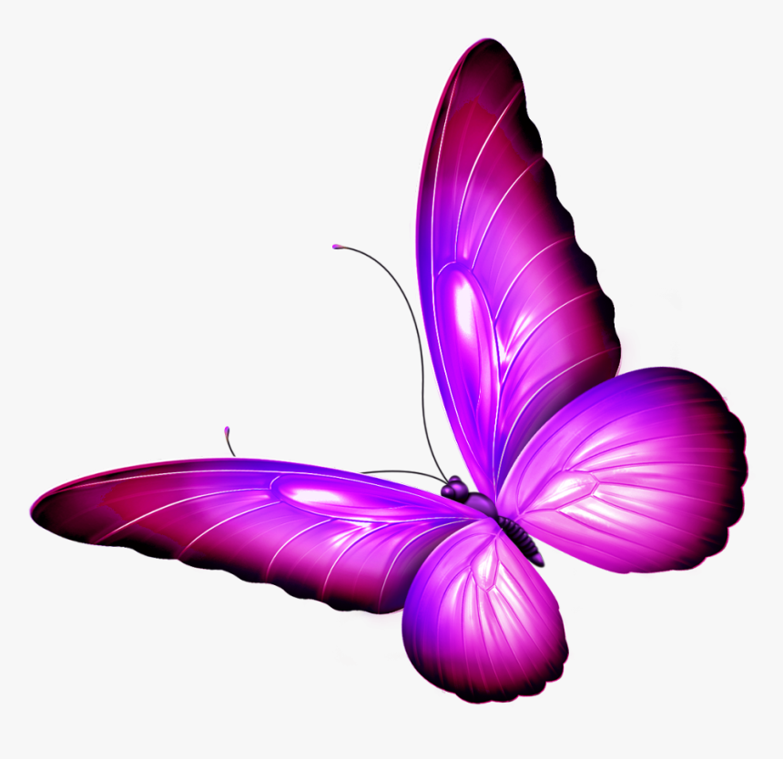 #butterfly #wings #pink #purple #shaded #wingedcreatures - Brush-footed Butterfly, HD Png Download