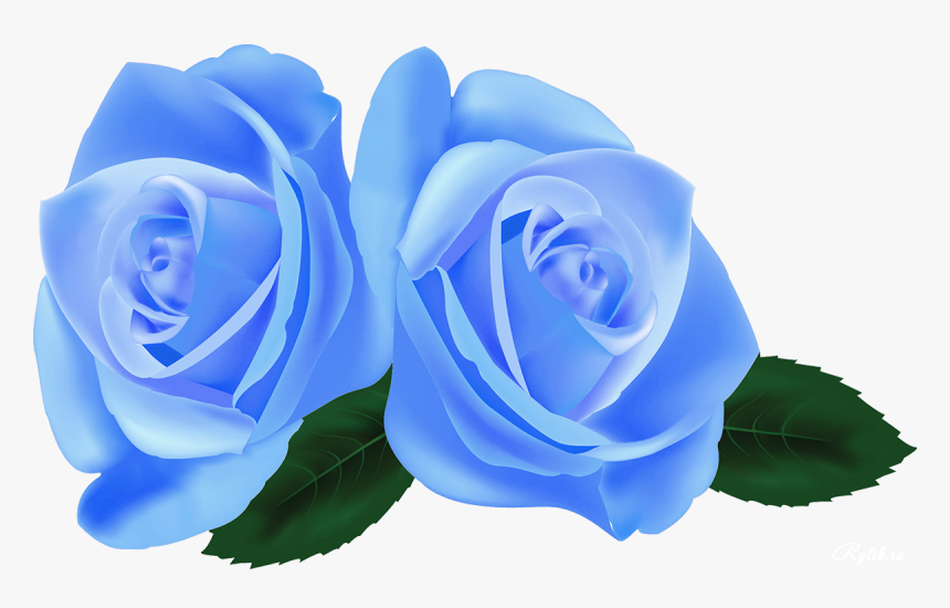 Beautiful Roses Vectors, HD Png Download
