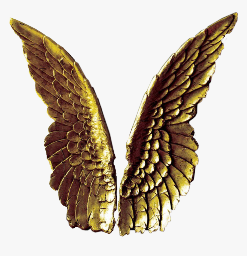 #angelwings #gold #golden #freetoedit #scangelwings - Angel Wings Decor, HD Png Download
