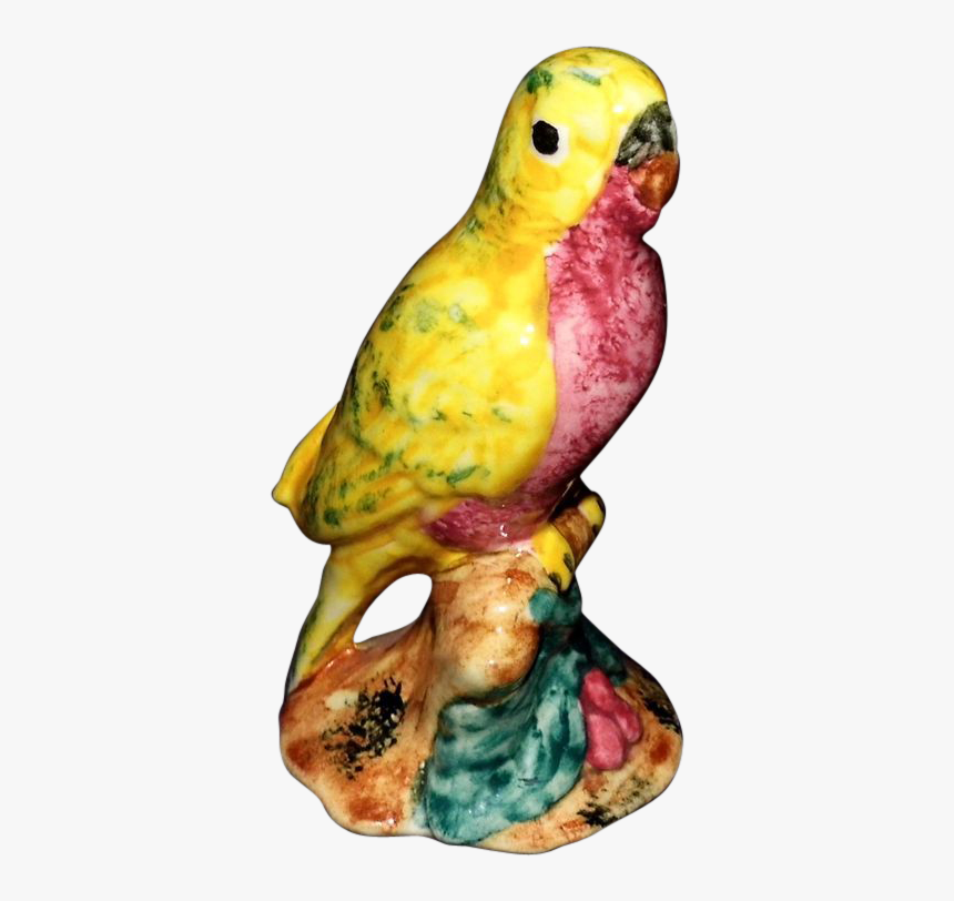 Budgie, HD Png Download