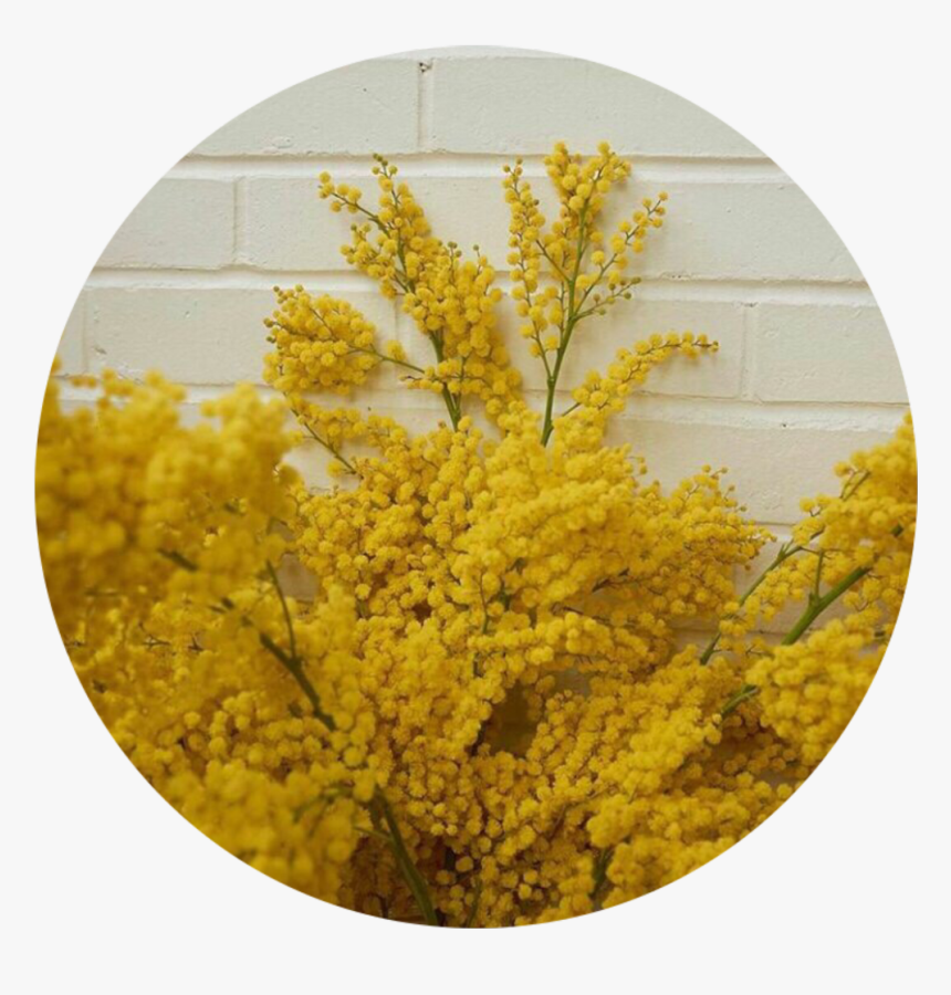 Plate, HD Png Download