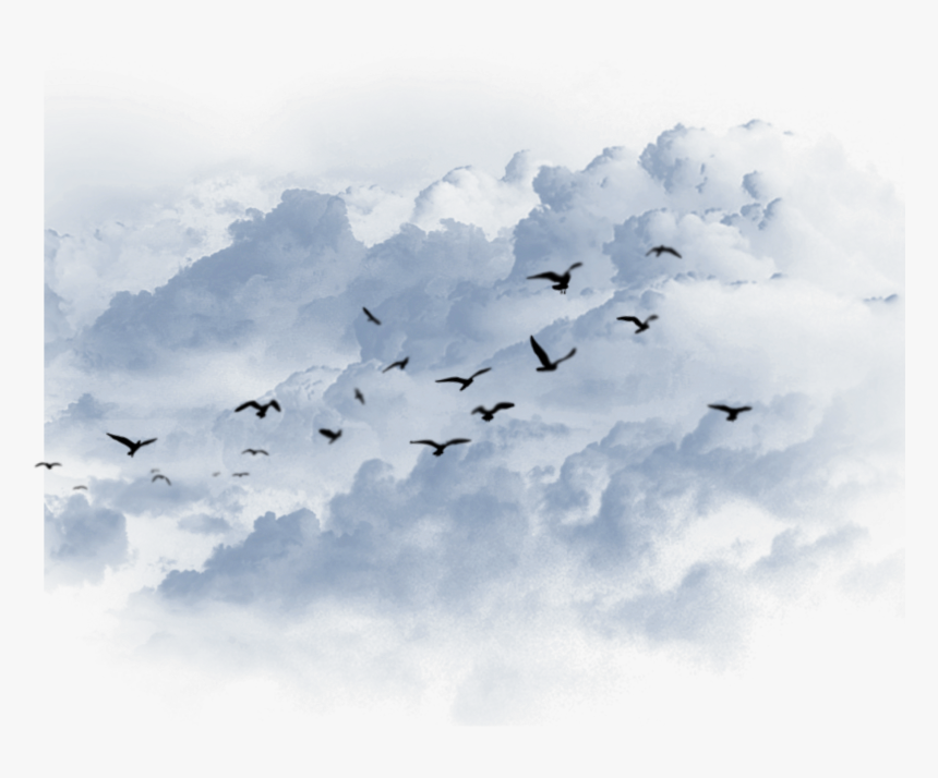 #ftestickers #freetoedit - Bird Migration, HD Png Download