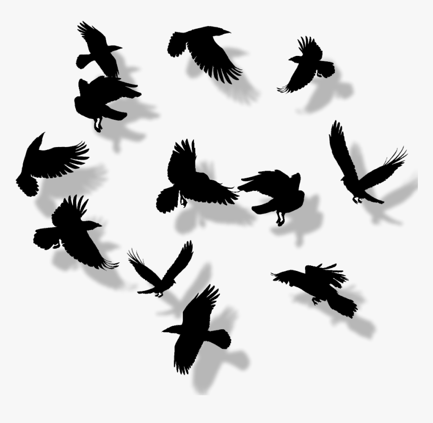 Raven Dundjinni, HD Png Download