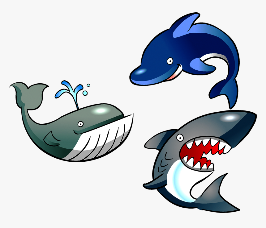 Marine Life Clip Png - Marine Biology Clip Art, Transparent Png