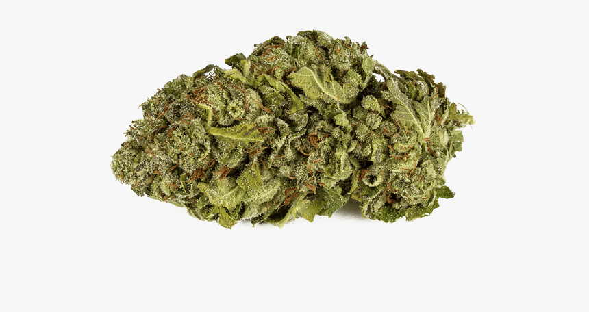 Mango Kush Cbd Flower Bud - Liverwort, HD Png Download