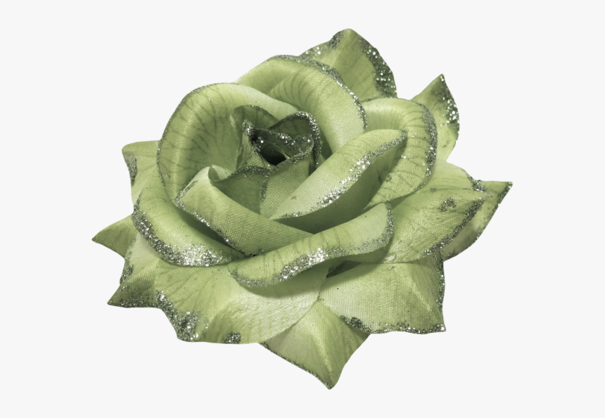 Garden Roses, HD Png Download