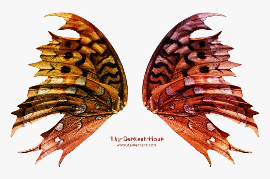 Tattered Fairy Wings, HD Png Download