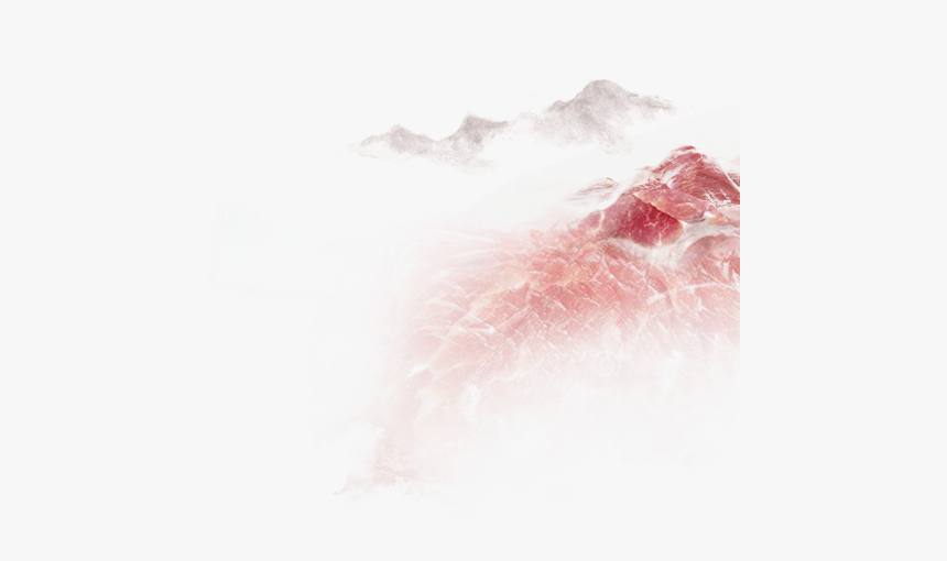 Still Life, HD Png Download