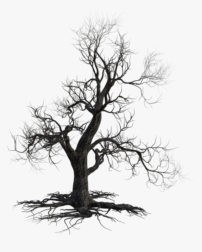 Dead Tree 4567469 1920, HD Png Download