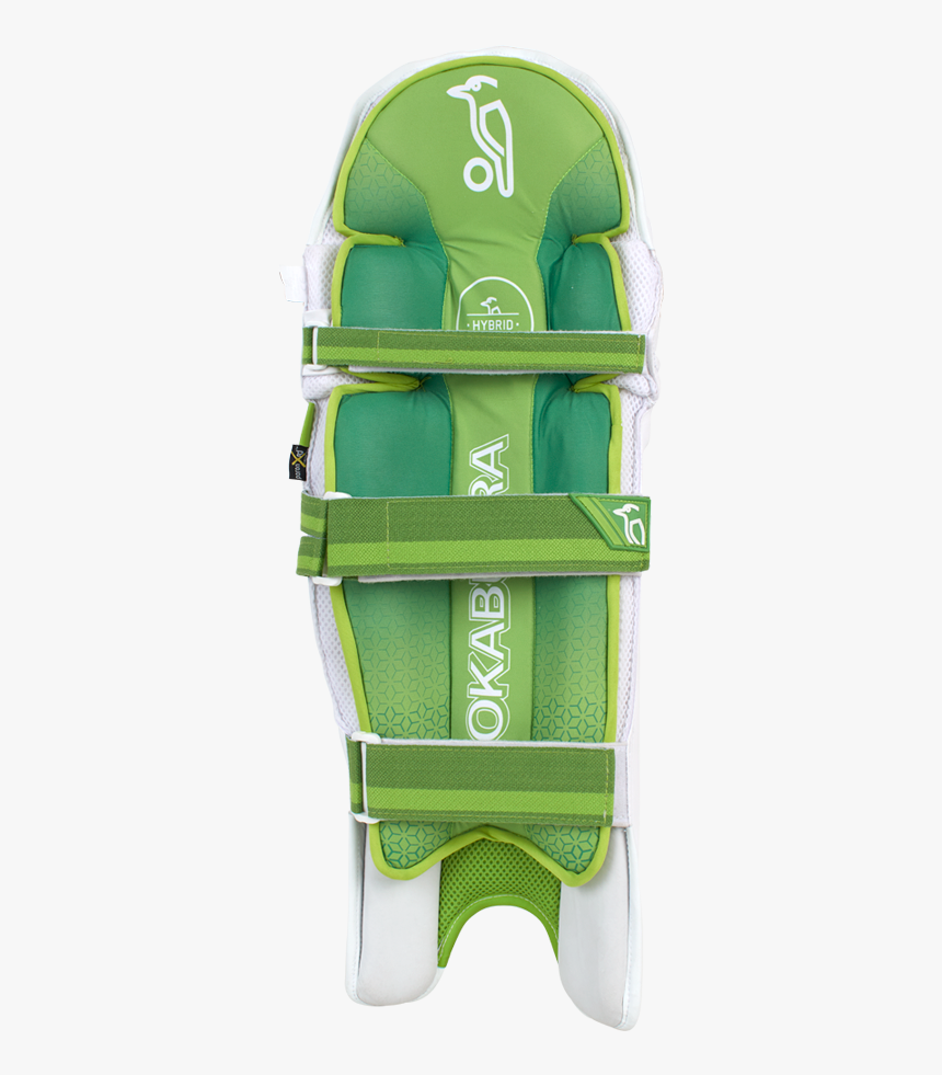 Kookaburra, HD Png Download