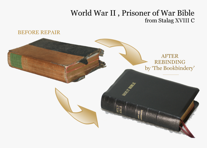 Plywood, HD Png Download