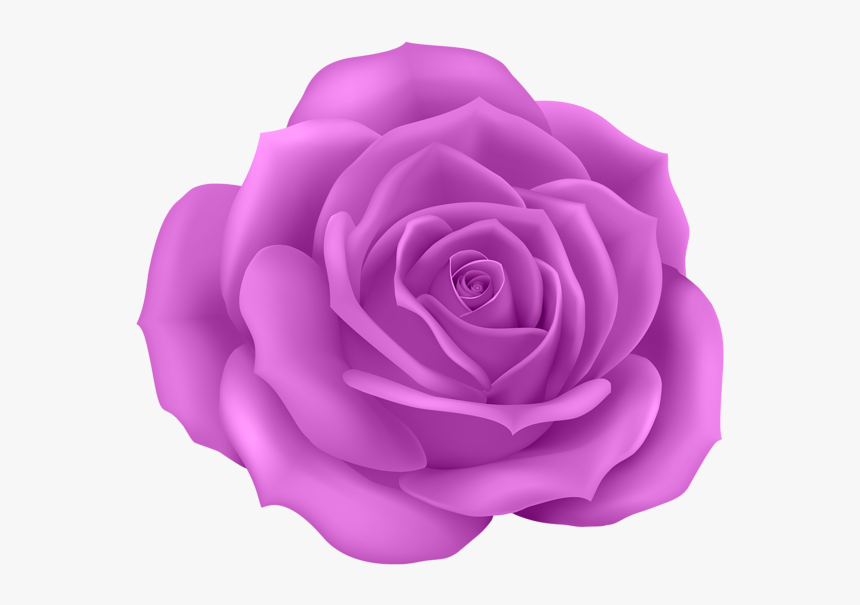 Blue Roses Png, Transparent Png
