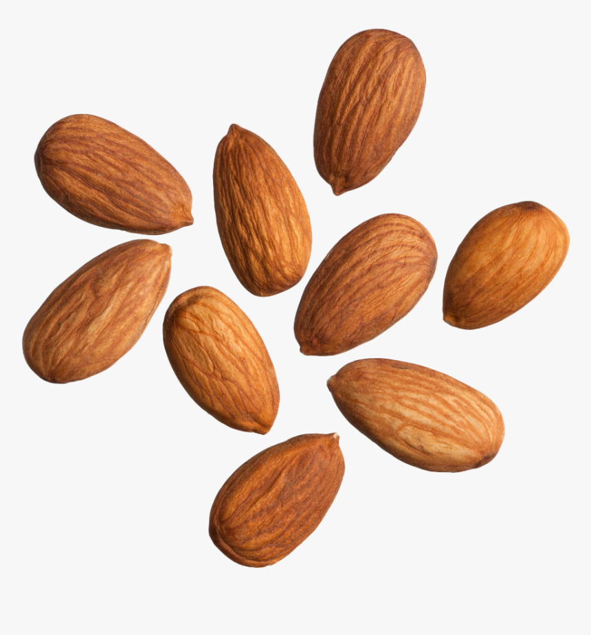 Almonds White Background, HD Png Download
