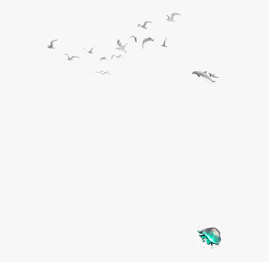 Flock, HD Png Download