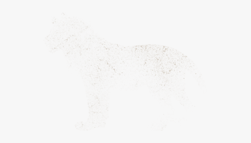 Flock, HD Png Download