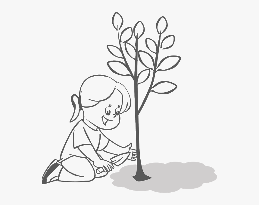 Trees Clipart Free To - Plant A Tree Clipart, HD Png Download