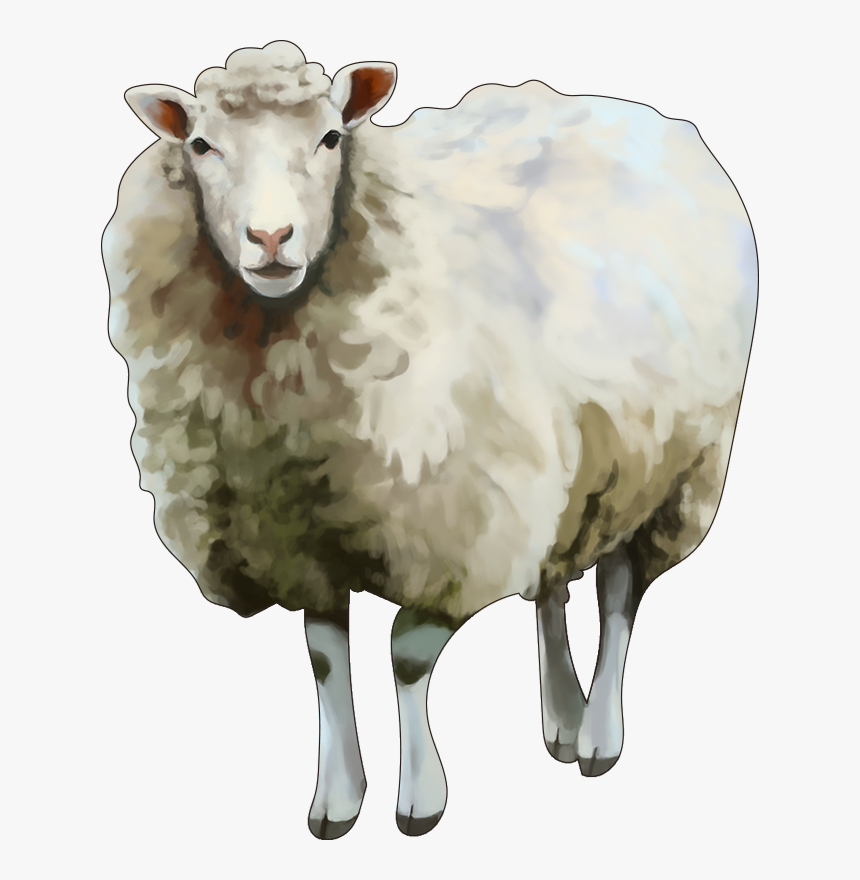 Sheep, HD Png Download