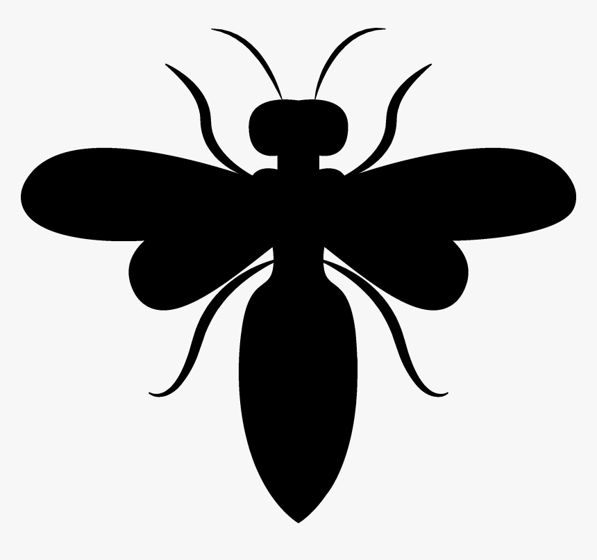 Bee - Net-winged Insects, HD Png Download