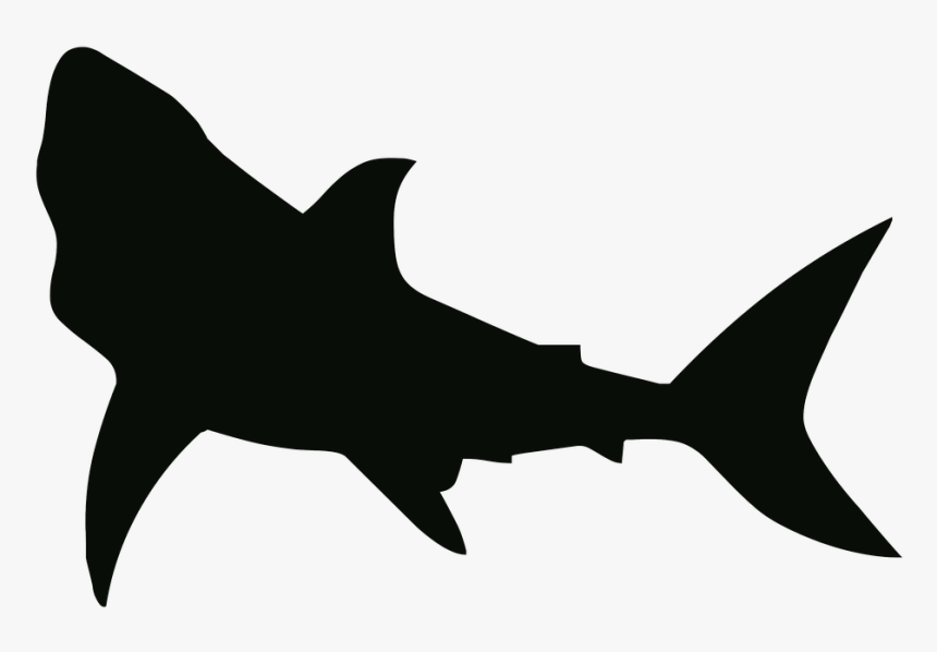 Thumb Image - Silhouette Of Shark, HD Png Download
