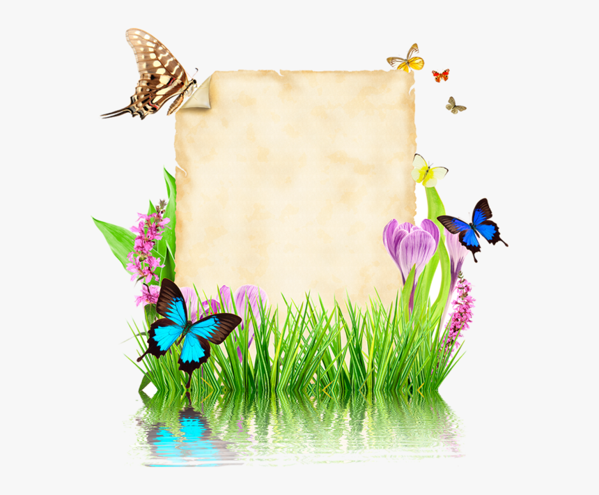 Photoshop Vector Design Png, Transparent Png