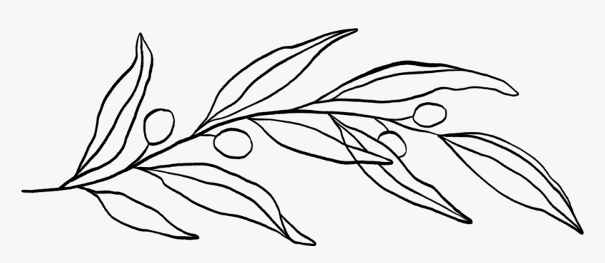 Line Art, HD Png Download