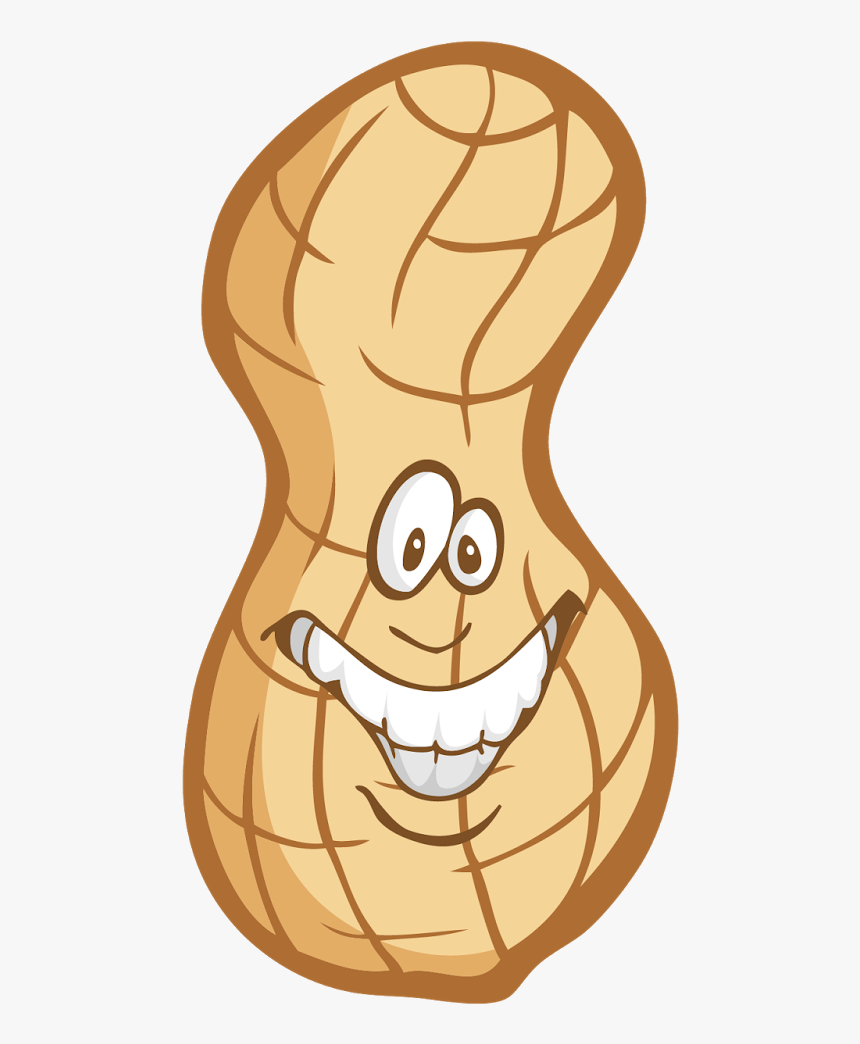 Clipart Peanut Nut Transparent, HD Png Download