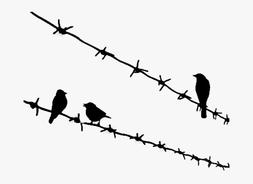 Bird Png Download - Birds Sitting On Wire Tattoo, Transparent Png
