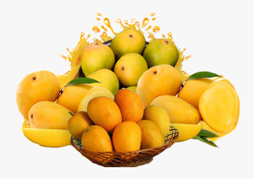 Mandarin Orange, HD Png Download