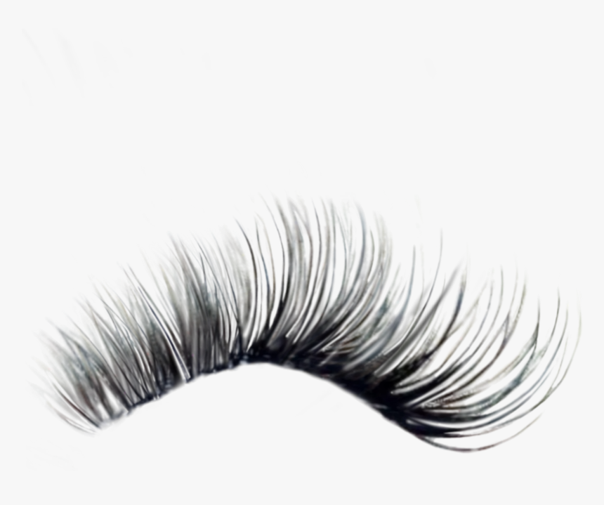 Eyelash Extensions, HD Png Download