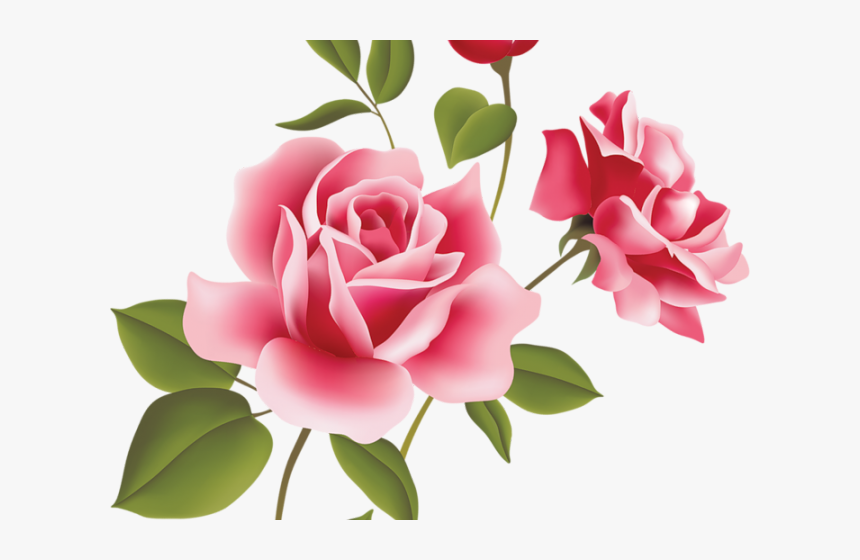 Rose Flower Image Hd, HD Png Download