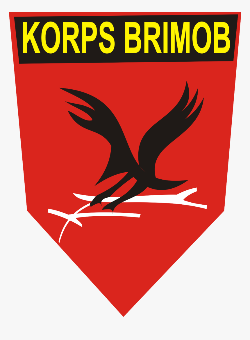 Hawk, HD Png Download