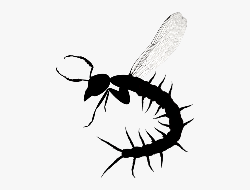 Illustration, HD Png Download