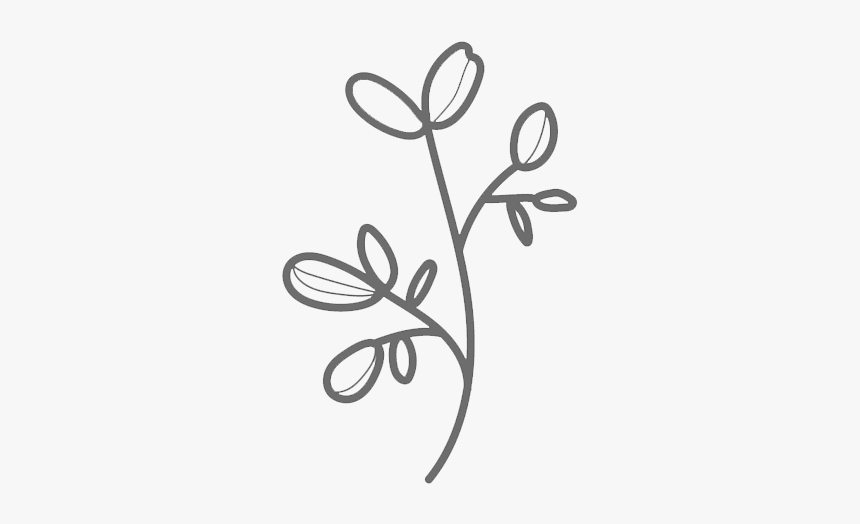 Line Art, HD Png Download