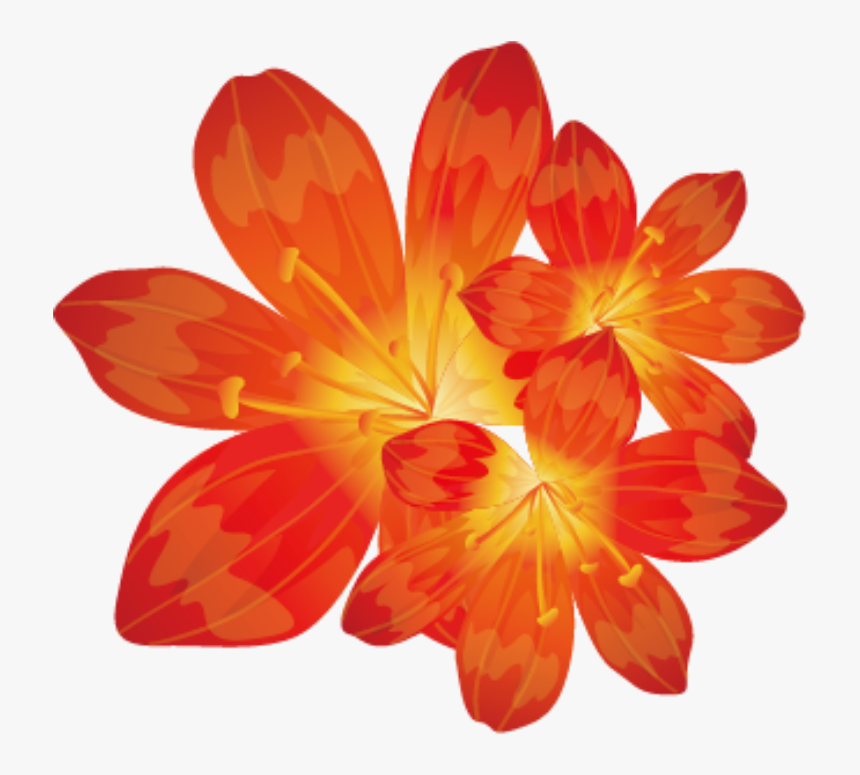 #bloom #frame #flower #border #flowers #white #bouquet - Crocus, HD Png Download