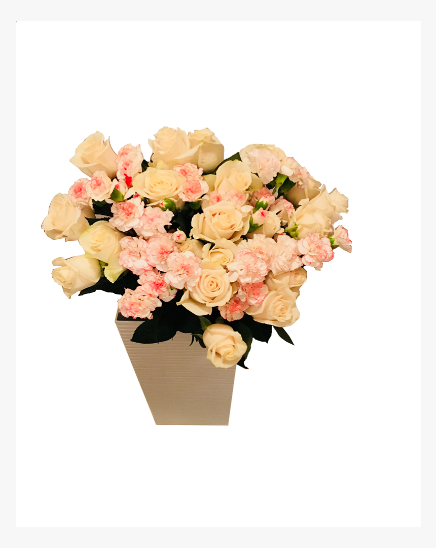 Garden Roses, HD Png Download