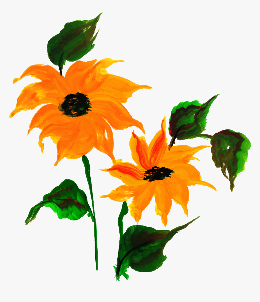 Sunflower, HD Png Download