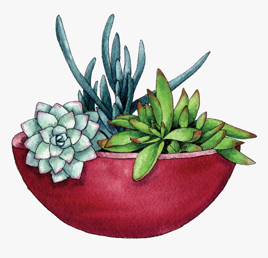 Clip Art Berkeley Horticultural - Flowerpot, HD Png Download