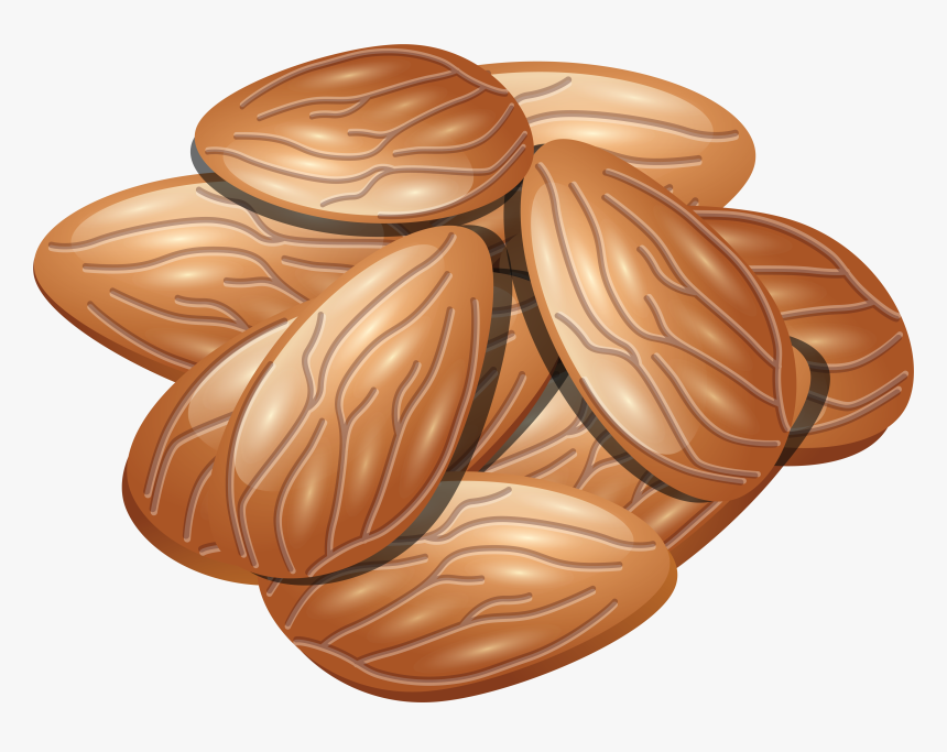 Almond Png - Almond Icon Png, Transparent Png