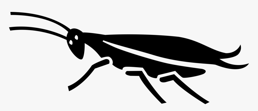 Vector Illustration Of Cockroach Insect With Long Antennae - Net-winged Insects, HD Png Download