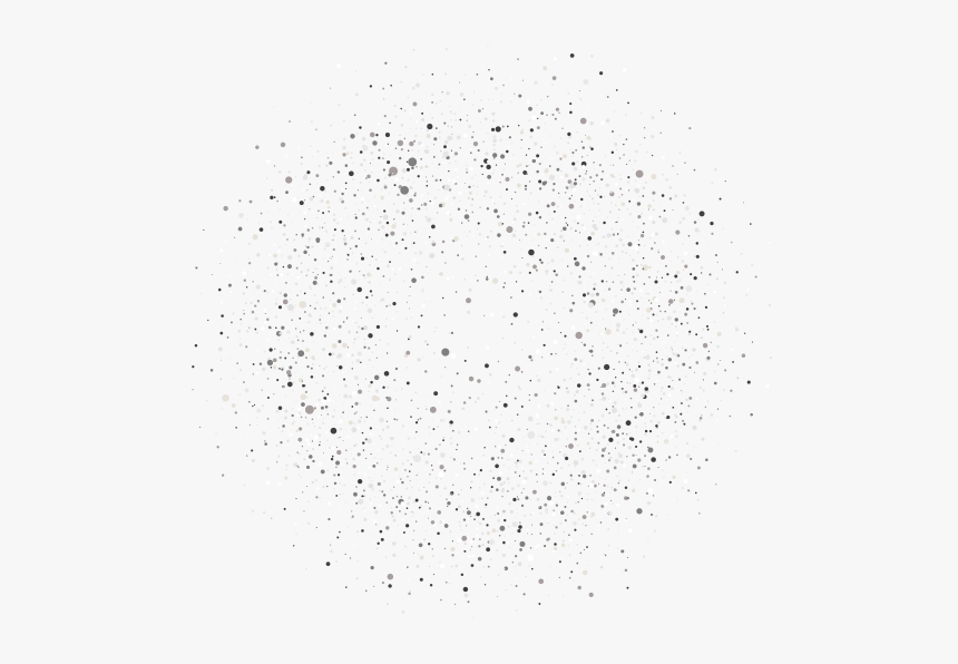 Bird, HD Png Download