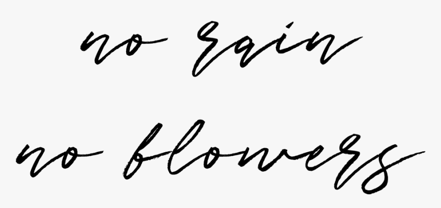 Halo Quotes Beyonce, HD Png Download