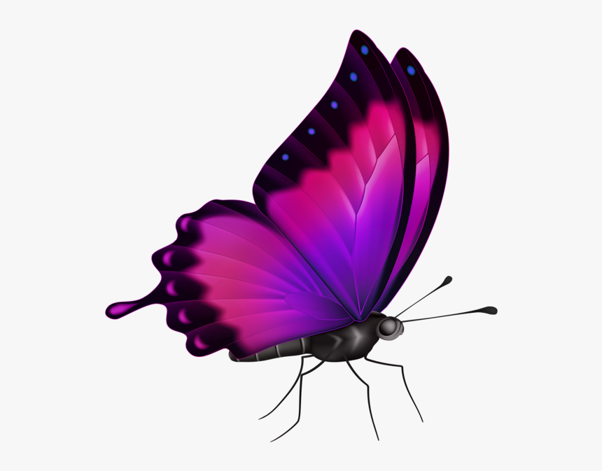 Colors Blue Clipart Png, Transparent Png