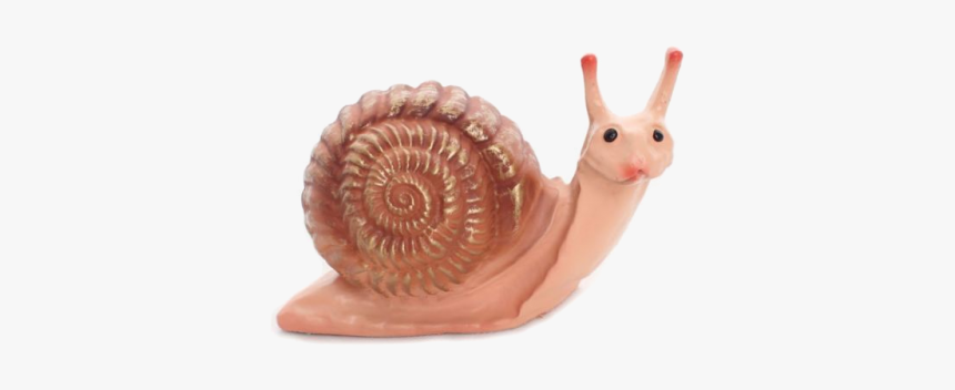 Snail Small - Snail, HD Png Download