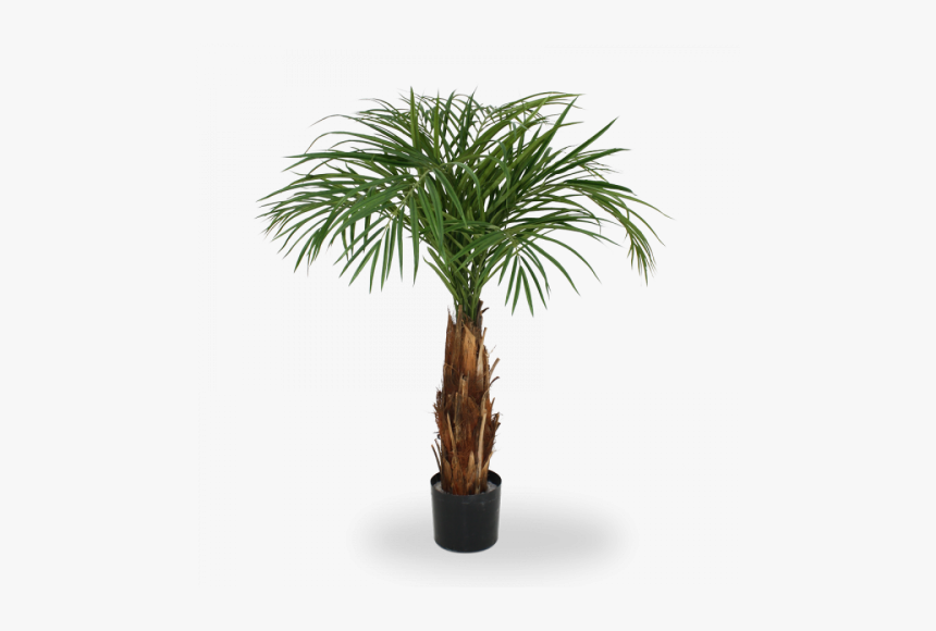 Olive Branch In Vase, HD Png Download