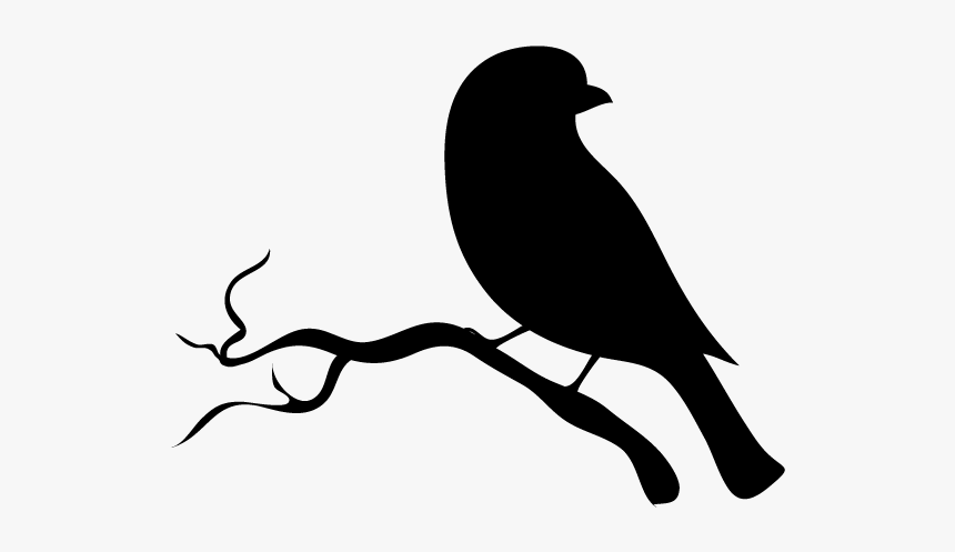 क्वील-uk Academe - Fish Crow, HD Png Download