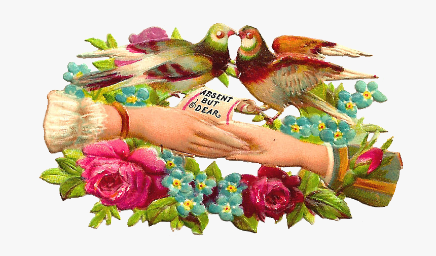 Free Bird Clip Art, HD Png Download