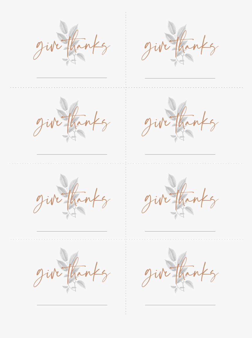 Insect, HD Png Download
