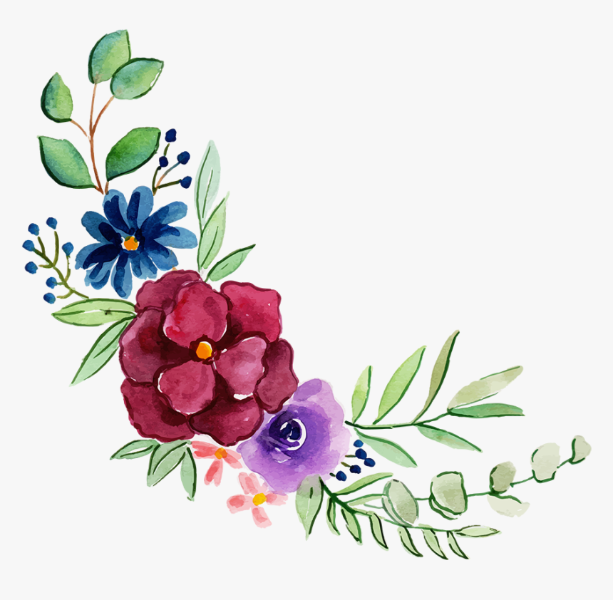 Common Peony, HD Png Download