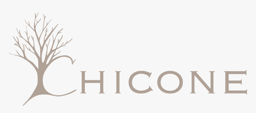 Chicone Llc - Calligraphy, HD Png Download